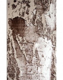 Синтетичний килим ASMARA 219 BROWN VIZON  - высокое качество по лучшей цене в Украине.